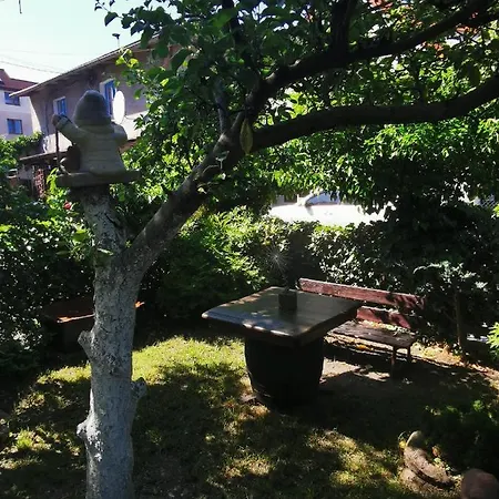 Kwatera U Zisi